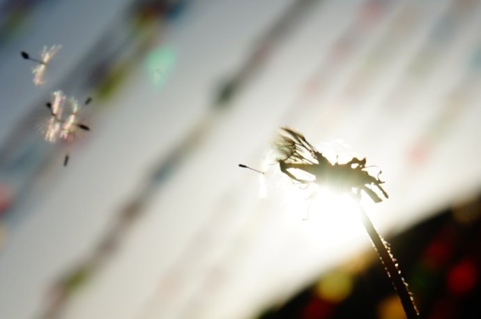 什麼是解脫的障礙