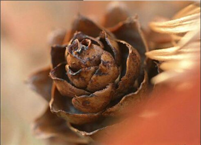 從痛苦之身講到《地藏經》的重要