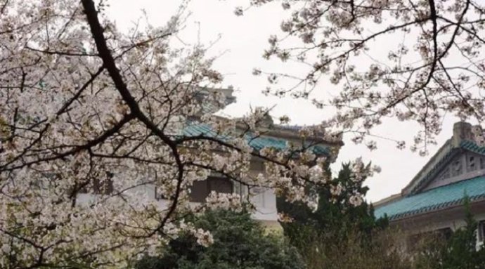 獨尊湛現：修行必須要用真心、智慧心去投入