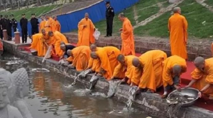 獨尊湛現：大家一定要了解，放生真正的意義