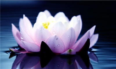 准提咒加持水簡要製作方法