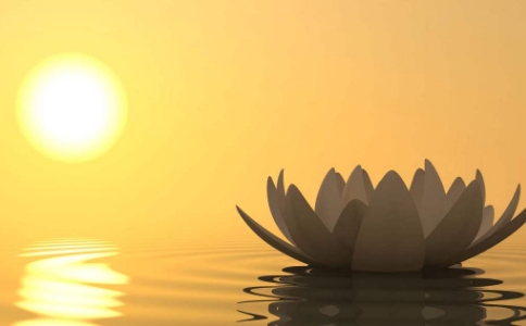 《六祖壇經》中「不立文字」的含義是什麼？