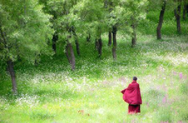 達真堪布：修行人面對違緣、對境的時候怎麼辦