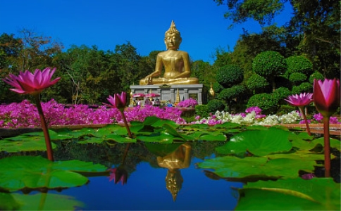 為家人做肉食有罪過嗎？讀往生咒時要合掌嗎？