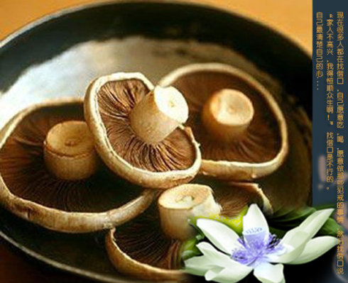 達真堪布：關於結婚酒席的開示