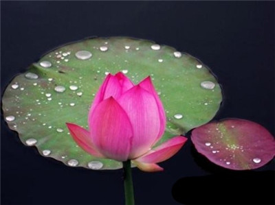 對《六祖壇經》「若真修道人，不見世間過」的感悟