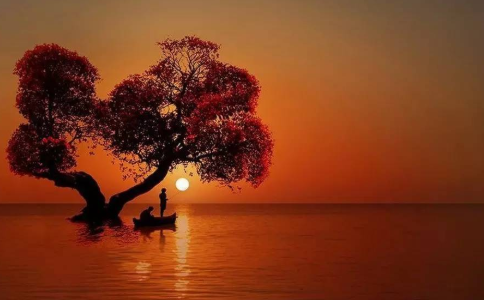 凈慧法師：時刻保持感恩的心態，奉獻的精神