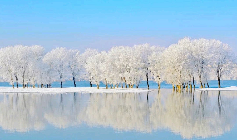 金剛經的核心是什麼