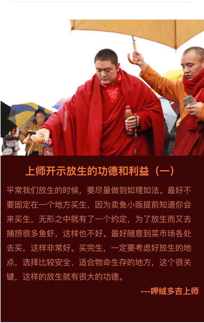 呷絨多吉上師：你在放生時，許什麼願都會圓滿的