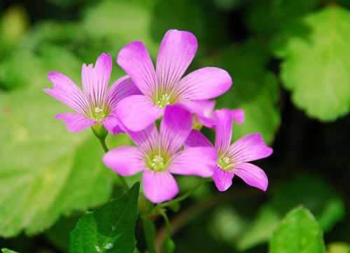 佛法為什麼不靈？