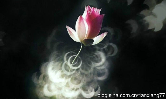 仁清法師：如何解決小孩子夜哭