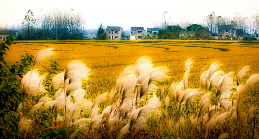 宏圓法師：心在哪裡，收獲就在哪裡