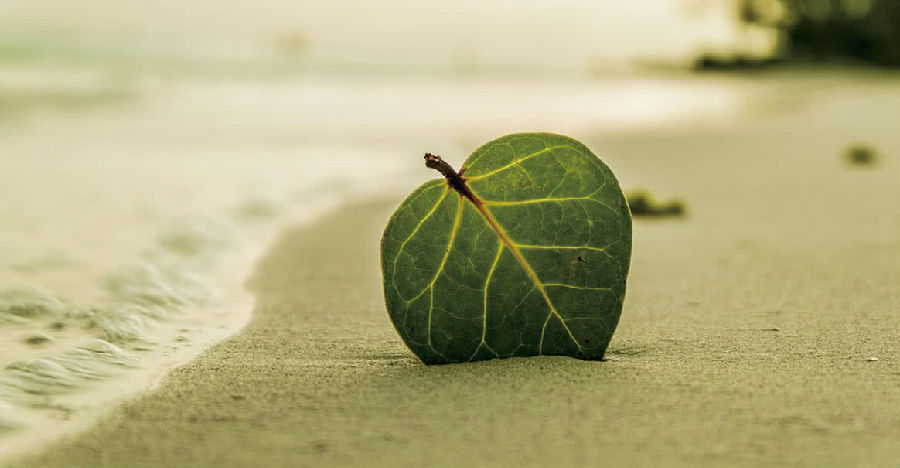 濟群法師：學會這兩點，「相好庄嚴」並不難