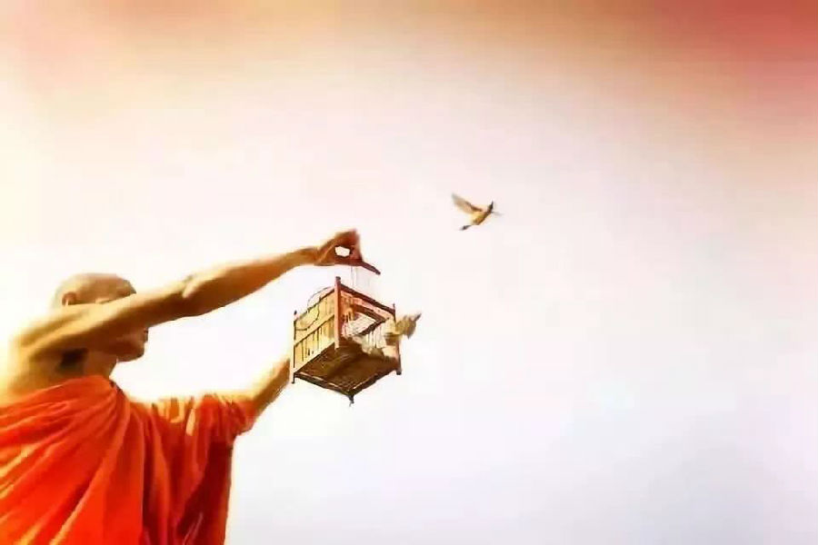 太橋旦曾堪布：幸好有佛法，給我們指明了解脫的道路