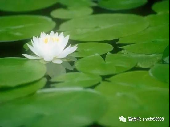 強烈推薦！人肯改過，都會有相當好的前途