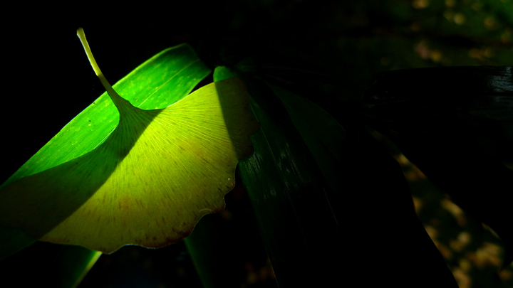 仁清法師：呼吸念佛的好處