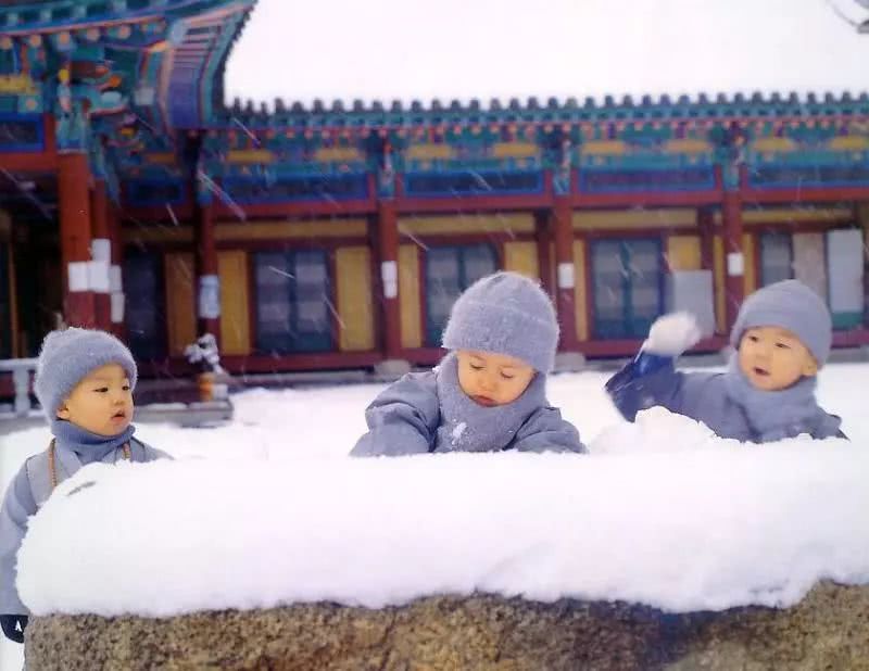 太橋旦曾堪布：學佛了，就跟普通人不一樣了嗎？