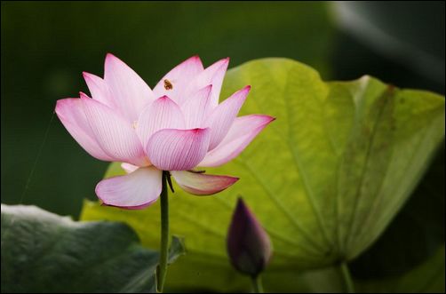 學誠法師：人活著的意義到底何在