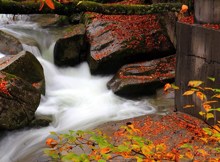 嘎瑪仁波切：如何檢驗自己的身口意