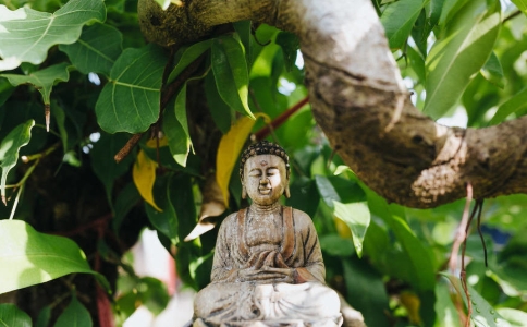 《心經》能教給我們哪些做人做事的智慧？