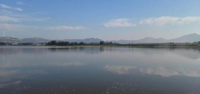 5個放生神奇小故事