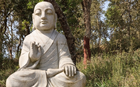 佛法修行主張離相，《金剛經》為何特彆強調見相？