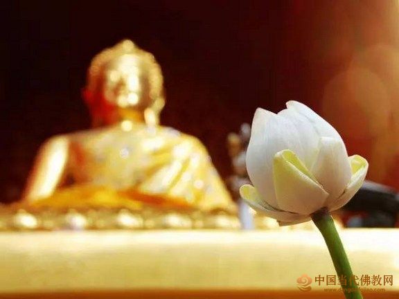 拜佛當注意：你應當如何正確拜佛？