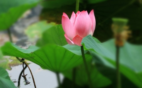 原來這才是產生疾病的根本原因！