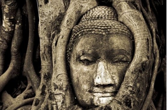 修行就要斷欲去愛嗎