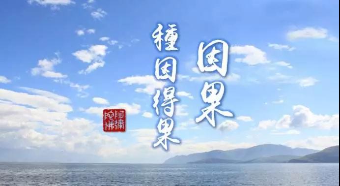 命好不好，因果說了算！