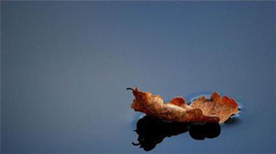 《壇經》神秀偈