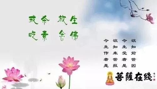 佛弟子可以像朋友那樣相處嗎？