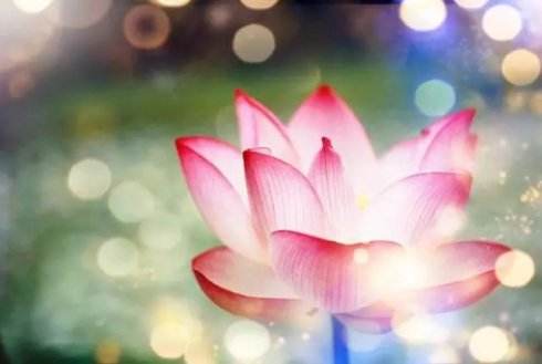 宏圓法師：造惡之人，為什麼臨終十念還可以往生？