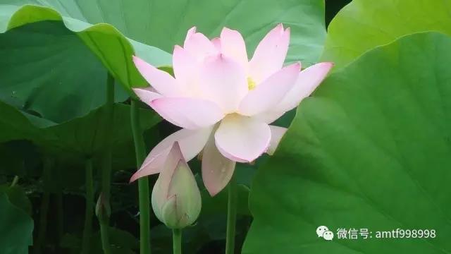 陳大惠：報應，是怎麼來的？