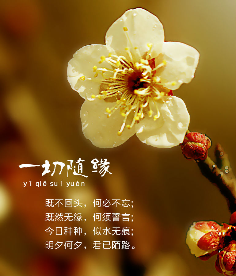 悟妙法師：早晨坐禪，在房間內比較好，還在室外的大樹下比較好？