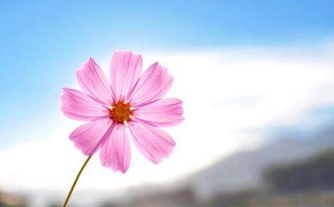 宗舜法師：什麼是愛？佛教中關於「愛」的特殊定義