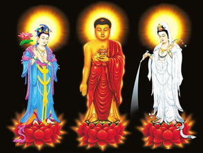 大安法師：家裡人愛釣魚，應怎樣對待此事