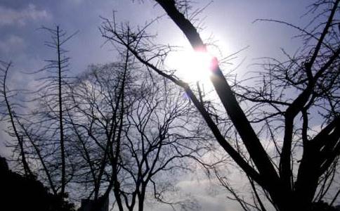 仁清法師：什麼情況下可以不接受道歉？