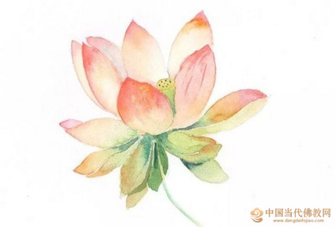 凈界法師：發菩提心建立正知見，就是要依止大乘經典