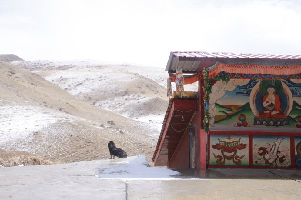 佛可以超越因果而救度眾生嗎