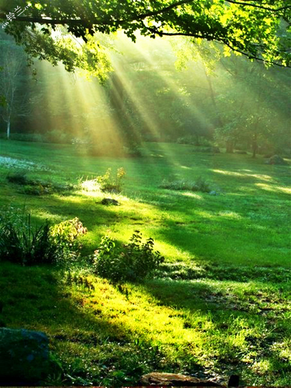 常福法師：為什麼阿彌陀佛亦稱智慧光佛？