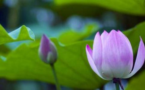 寂靜法師：為什麼我那麼貧乏別人卻那麼富有？上天不公平！