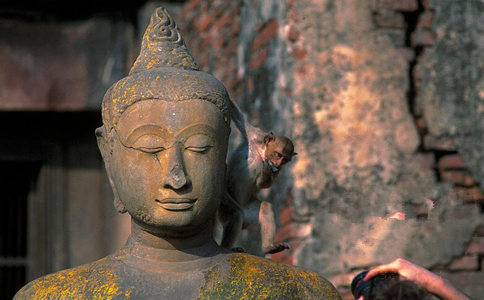 仁山法師：生活坎坷，年少時墮過胎，現在應該怎麼辦？