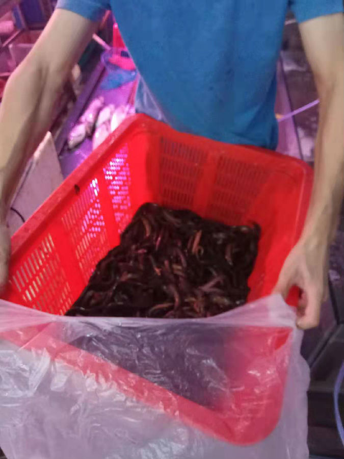 放生見聞及個人因果見聞（中秋節）