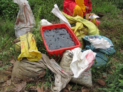 妙祥法師：放生會不會刺激了養殖業的發展