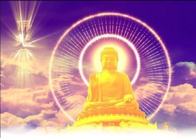 有一種後悔葯可以吃，吃了就能治病！