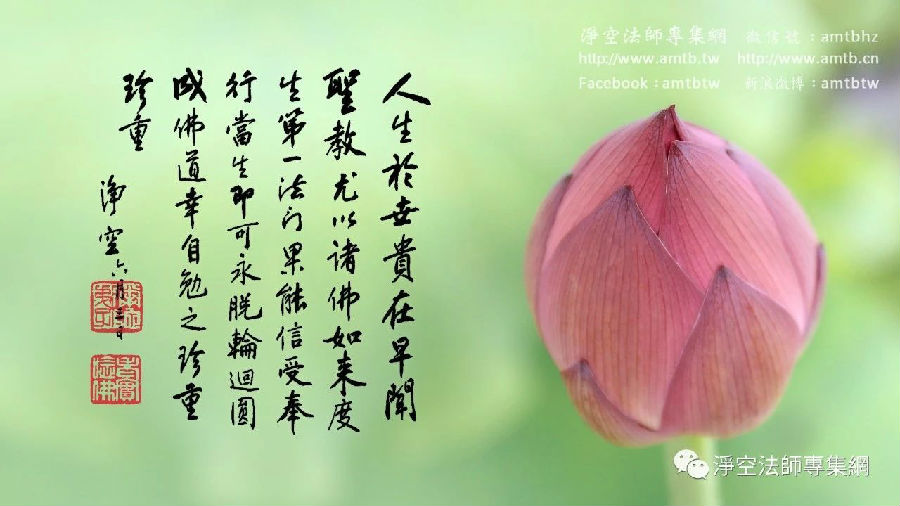 凈土法門法師：內心如何才能清涼自在？