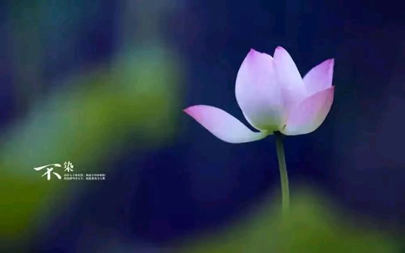 一位女生戒色兩年的轉變