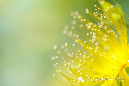 索達吉堪布：如何理解『看山還是山，看水還是水』的三重境界？