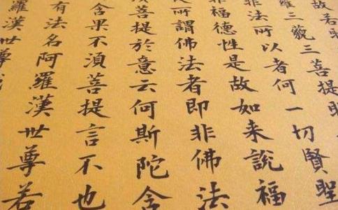 學不了《金剛經》不可能成佛，還是念佛求往生對嗎？